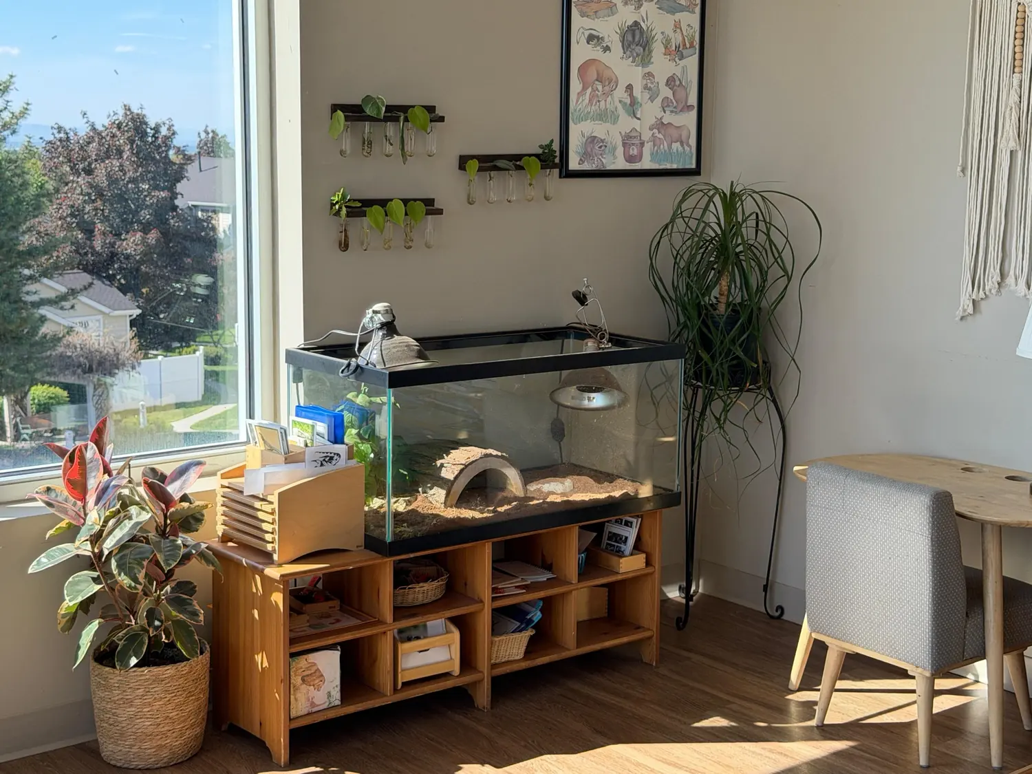 Science and nature area